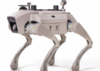 Assistive Robotic Guide Dog